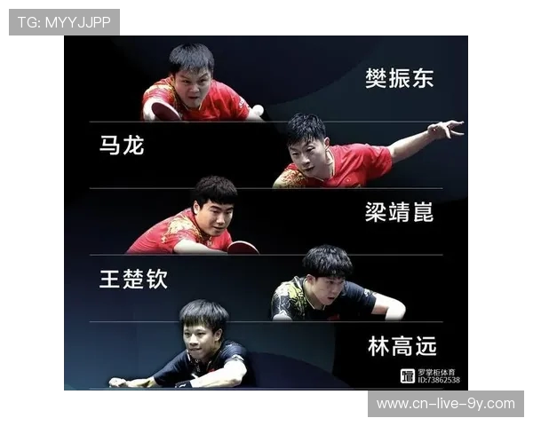 上海乒乓球队耐力排名创新高引发广泛关注与热议