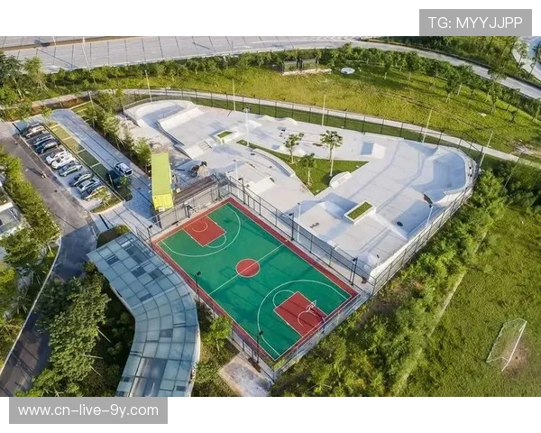 成都滑板队引领潮流最新滑板战术TOP10全面解析