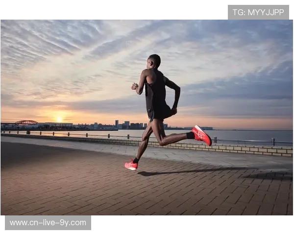 数据分析：BLG的耐力表现