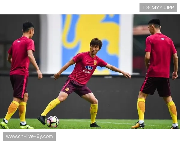 国际赛精彩对决日本队迎战喀麦隆队激情碰撞引发球迷热议